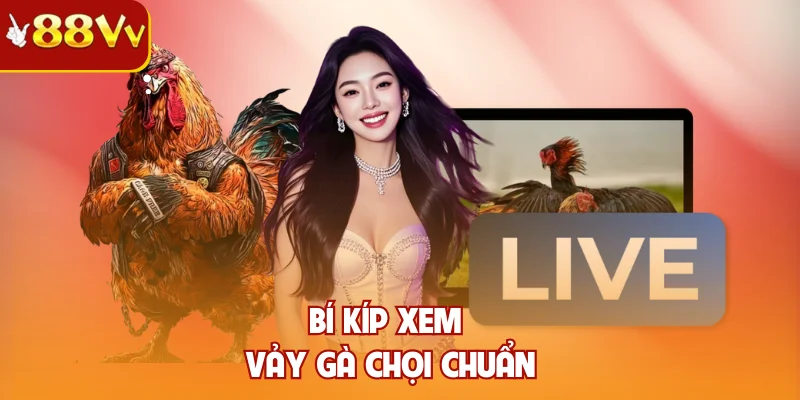 Bí kíp xem vảy gà chọi chuẩn