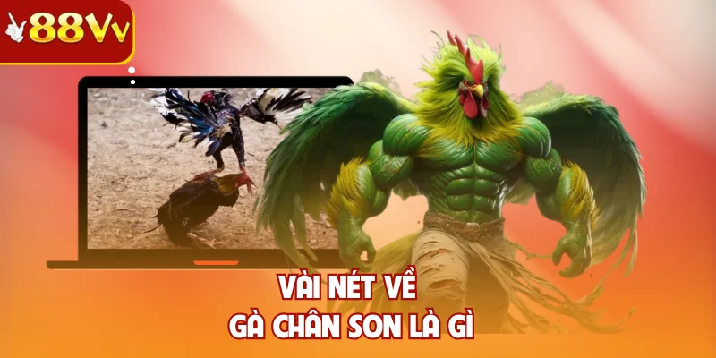 Vài nét về gà chân son là gì